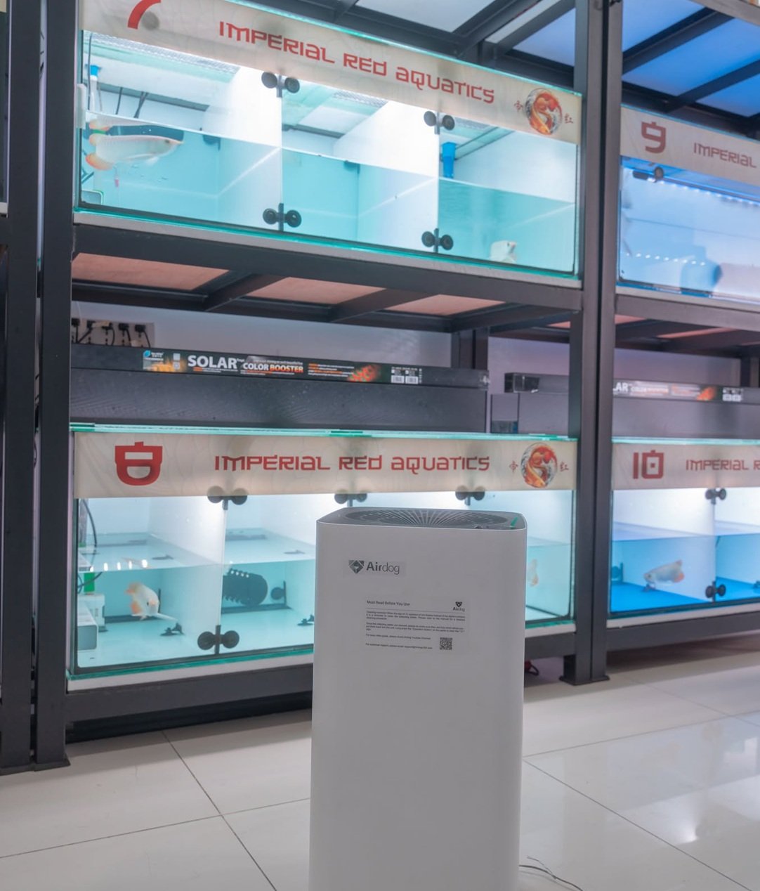 Airdog air purifier at Imperial Red Aquatics fish store Philippines